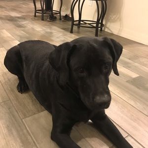 Meet your Posher, Kristine